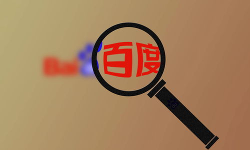 蜘蛛池引导收录
